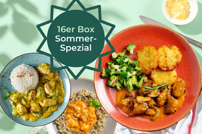Drei bunte Teller mit Reis-Curry, Brokkoli-Küchlein & Risotto - Sommer-Special Box von HOFMANNs.