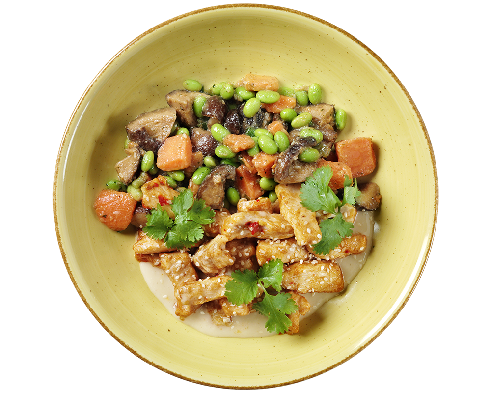 Eine Spicy Chicken Bowl von Hofmanns Shop auf einem gelben Teller mit Tofu, Champignons, Edamame und Massaman-Curry-Dip.