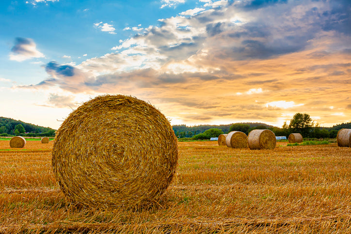 Heuballen im Feld, blauer Himmel mit Wolken