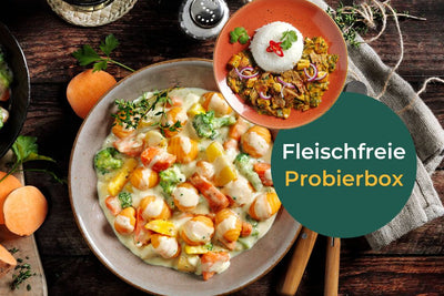 Eine Schale cremige Gemüse-Gnocchi und ein Teller Gemüse-Curry mit Reis, beschriftet mit „Probierbox: Fleischfreie Alternativen“ aus Hofmanns Shop, präsentieren unsere erlesenen vegetarisch-Bestseller.